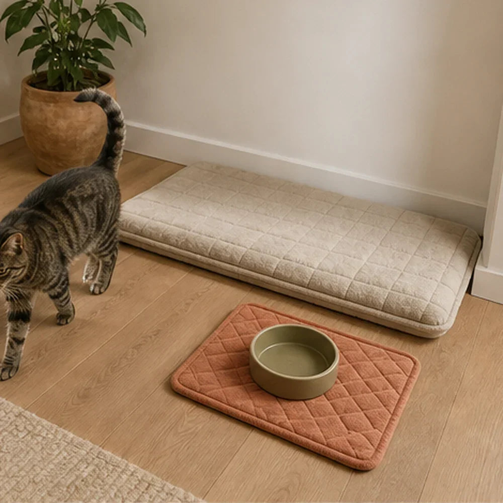 A tabby cat moving between a small feeding mat and a padded window surface