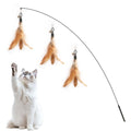 4-Pack Cat Toys for Indoor Cats & Kittens, Interactive Cat Toy