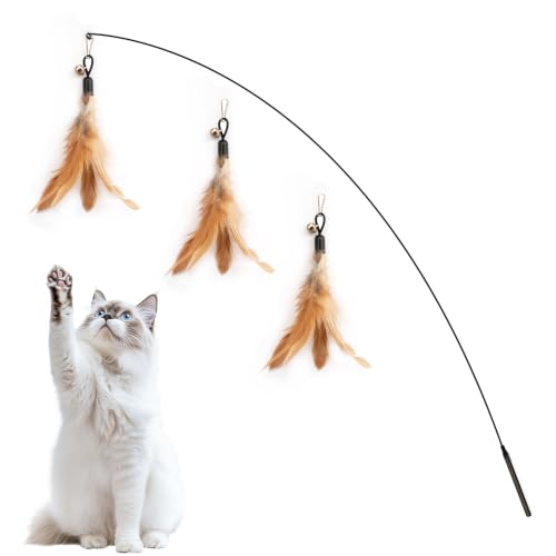 4-Pack Cat Toys for Indoor Cats & Kittens, Interactive Cat Toy
