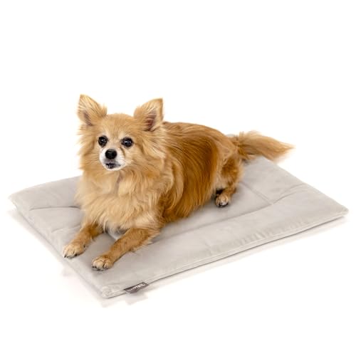 Dog Crate Pad - Soft Velvet, Reversible Bed - Machine Washable Kennel Mat for Pets up to 15 lbs, Mattress for Cozy Sleeping - 20” x 15” x 1” (Light Grey, Small)
