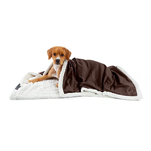 Premium Self-Warming Ilan Microfiber Faux Fur Pet Throw Blanket 40x50 in Brown