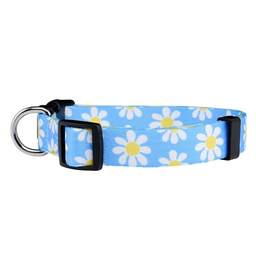 Flower Dog Collar, Adjustable Small Medium Large, Cute Girl Female Summer Spring Pretty Designer Puppy Essentials Accessories, Pink Floral Blue Daisy Rose (Medium, Blue Daisy) - view 2
