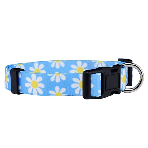 Flower Dog Collar, Adjustable Small Medium Large, Cute Girl Female Summer Spring Pretty Designer Puppy Essentials Accessories, Pink Floral Blue Daisy Rose (Medium, Blue Daisy)