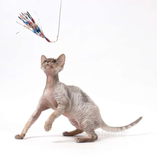 GoCat Cat Toy Refill Accessories, Handmade in the USA, Sparkler - view 2