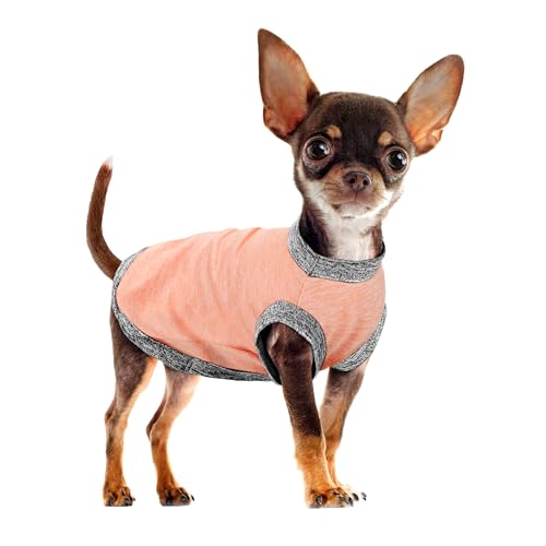 Chic Ion Polyester Dog Shirt: Adorable Fashion Clothes Orange XXS