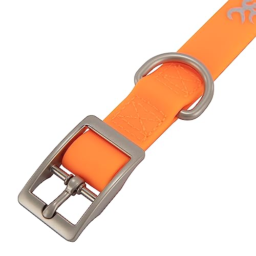 Performance Collar Blaze - view 2