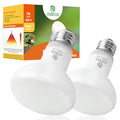 Reptile Heat Lamp Bulbs, Simulate Natural Sunlight Heat Light Bulb, 2 Pack 75W Amphibian Terrarium Basking Spot Lamp for Reptile, Bearded Dragon, Lizard, Turtle, Snake