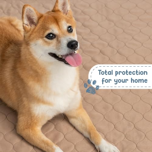 Washable Pee Pads for Dogs - Waterproof Reusable, 47 x 47 in - view 5