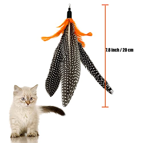 Cat Feather Toys Refill, 6 Pieces Cat Wand Attachments Da Bird Feathers Toy for Indoor Cats - view 3