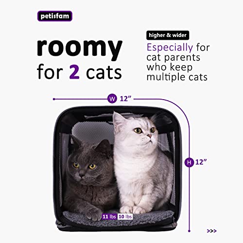 Soft Pet Carrier for Large and Medium Cats, 2 Kitties, Small Dogs. Easy to Get Cat in, Great for Cats that Don't Like Carriers (Black) - view 5