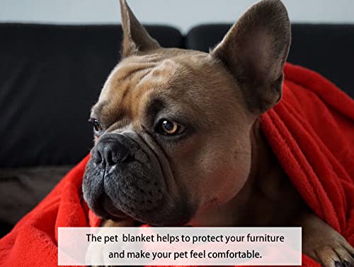 Soft Puppy Flannel Fleece Blanket for Pet Dog Cat, Plush Microfiber, Cozy and Lightweight, Red, Pet, 19 x 27 inch (50 x 70 cm) - view 5