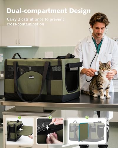 Large Cat Carrier, Soft Double Pet Crate for 2 Cats Travel, Green - view 3