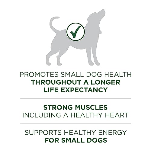 Plus Small Breed High Protein Dry Dog Food, Lamb, 3.8 lb Bag - view 4