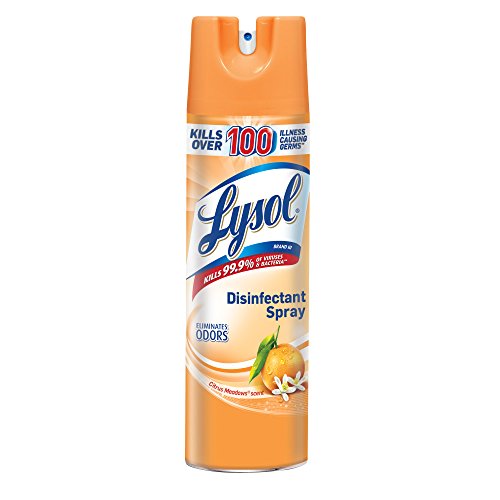 Disinfectant Spray, Citrus Meadows, 19 oz