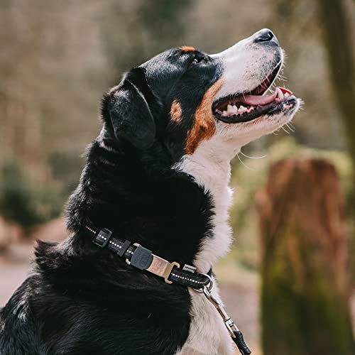 Adjustable Rubberized Reflective Dog Collar for Small Medium Dogs with ClickLock Buckle – Overall Length 12-18 inches (Black) - view 3