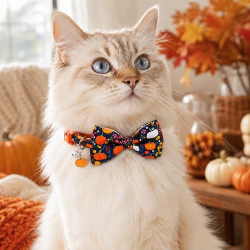 2 Pack Thanksgiving Cat Collars with Bow Ties & Charms, Cute Turkey Pumpkin Fall Breakaway Collars with Bells for Boy Girl Kitties & Kittens - view 3