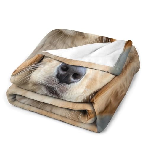 Soft Blankets and Throws for Sofa Golden Retriever Puppy Dog Ultra Soft Bedspread Microfiber Blanket Pet Memorial Gifts Blanket 55"x70" for Couch Sofa Bed Office for Girls Birthday Valentines Gift - view 3