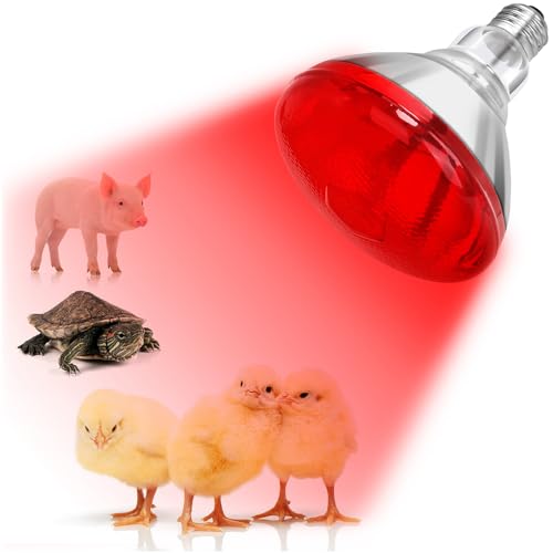 Infrared Heat Lamp Bulb for Chickens Red Heat Lamp Flood Light Heat Lamp Bulb 150 W Heating Bulbs for Brooder Coops Pets Chicks Reptiles Food Service (1 Pack)