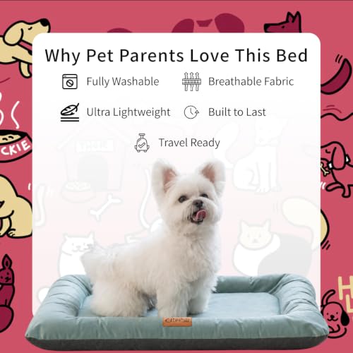 HomeLife Pet Mini Bed XSmall Dog Bed – Hyperatmos Fiber Mattress, Breathable Washable Puppy & Toy Breed Dog Bed with Easy Slip-in Slip-Out Mattress Design for Everyday Comfort - Rose - view 3