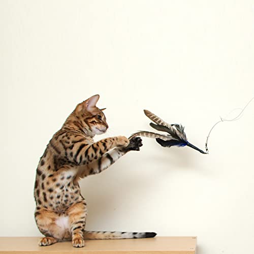 Da Bird Rod and Feather Cat Toy, Handmade in The USA (1 Bird) - view 3