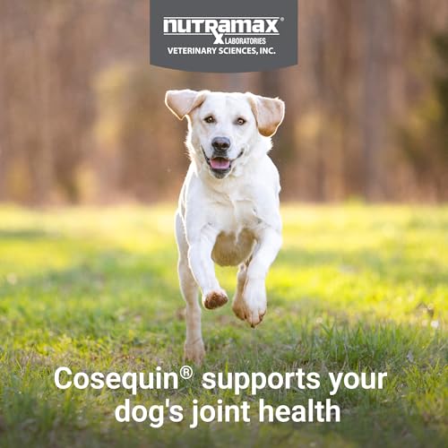 Nutramax Cosequin Joint Supplement for Dogs, Skin & Coat, Soft Chews,120ct - view 3