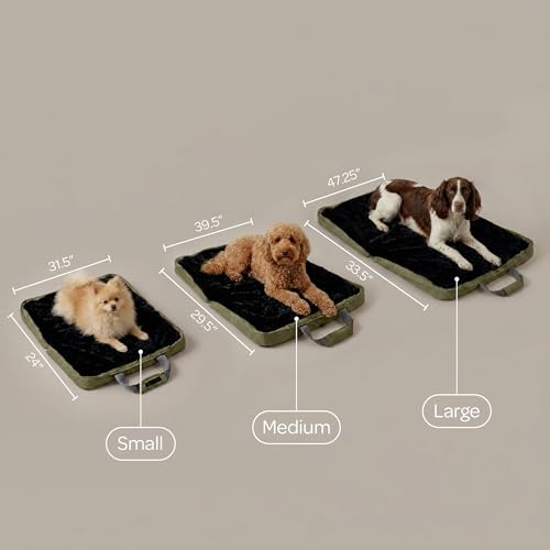 Gus Travel Bed - Medium (29.5″ x 39.5″), Army - Portable Foldable Dog Bed - view 4