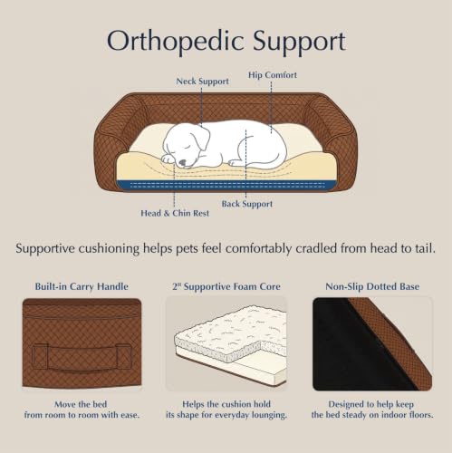 Orthopedic Small Dog Bed, Modern Pet Bed with Reversible Cushion - view 5