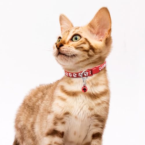 6 PCS Puppy Collars with Bell, for Small Dog Cats, 19-32 cm - view 5