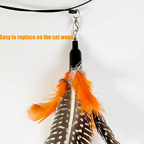Cat Feather Toys Refill, 6 Pieces Cat Wand Attachments Da Bird Feathers Toy for Indoor Cats - view 4