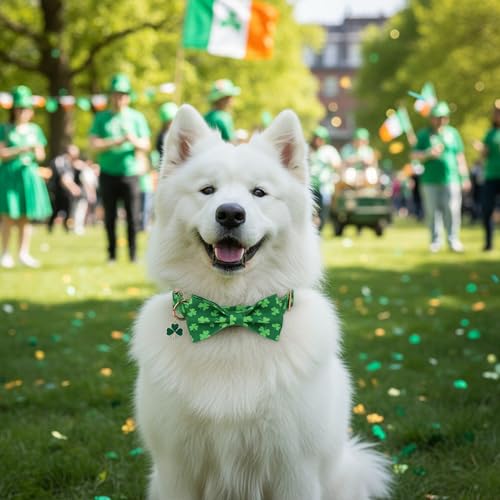 St Patricks Day Dog Collar with Bow, Detachable Shamrock Bowtie, Metal Buckle, Adjustable Green Shamrock Collars for Medium Dogs Boy Girl (Medium) - view 3