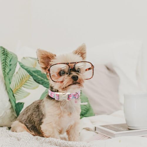 Floral Dog Collar, Cute Girl Dog Collars - Pastel Wildflowers Pattern Spring Summer Puppy Collar, Adjustable Female Dog Collars for Small Medium Large Dogs S - view 2