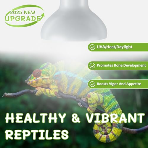 Reptile Heat Lamp Bulbs, Simulate Natural Sunlight Heat Light Bulb, 2 Pack 75W Amphibian Terrarium Basking Spot Lamp for Reptile, Bearded Dragon, Lizard, Turtle, Snake - view 4