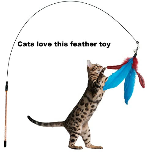 Cat Feather Toys Refills, 10 Pieces Cat Wand Replacement Feathers Toy for Indoor Cats - view 5