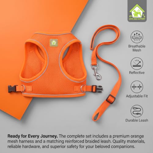 Cat Harness and Leash,Adjustable Cat Harness Escape Proof (Black-S) - view 4