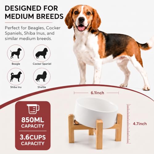 Elevated Ceramic Dog Bowl 15°Slanted Raised Dog Bowl with Bamboo Stand for Small Medium Dogs and Cats, Pet Feeder -3.6-Cup (850ml)-White - view 4