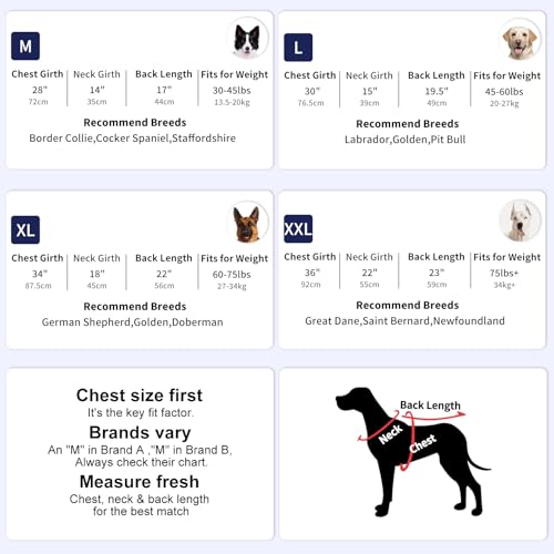 Dog Cooling Vest UPF 50+ Sun Protection Dog Shirt - Sleeveless Lightweight Vest for Meduim Dogs, Quick-Dry Pet T-Shirt, UV Protective Breathable Dog Clothes U-BX01M - view 5