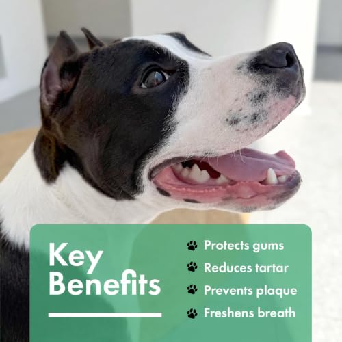Dog Dental Powder, Dog Teeth Cleaning Breath Freshener - view 5