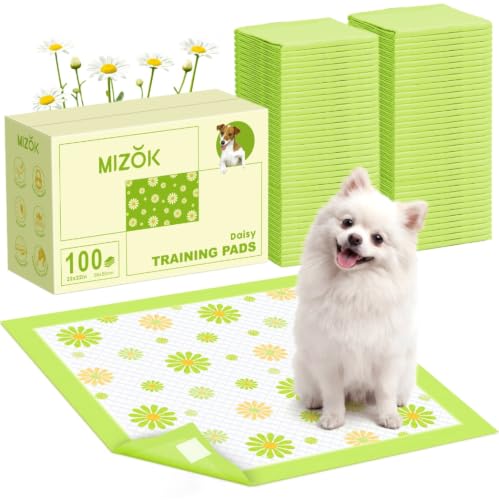 Puppy Pads with Adhesive Tabs Green Daisy Prints Small 22x22in 100Ct