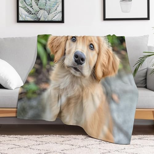 Soft Blankets and Throws for Sofa Golden Retriever Puppy Dog Ultra Soft Bedspread Microfiber Blanket Pet Memorial Gifts Blanket 55"x70" for Couch Sofa Bed Office for Girls Birthday Valentines Gift - view 5