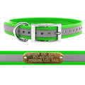 Reflective Waterproof D-Ring Dog Collar w Custom Name Tag, Lime Green 21"