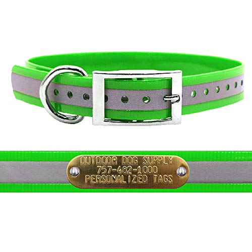 Reflective Waterproof D-Ring Dog Collar w Custom Name Tag, Lime Green 21"
