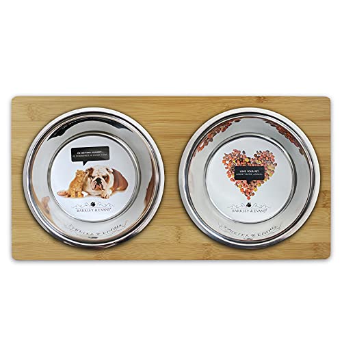 Elevated Double Pet Feeder, Removable Stainless Steel Bowls on Metal Stand, Raised Feeding Station for Pets, Dogs & Cats, Wet or Dry Food and Water - 1 Quart Bowls (32 fl. oz) - view 3