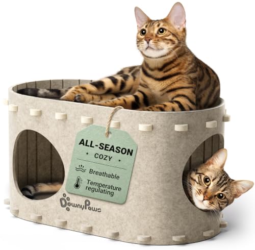 Cat House for Indoor Cats, Peekaboo Cat Bed Cave, Cream