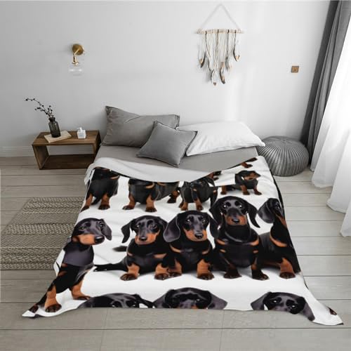 Dachshund Weiner Pet Dogluxury Bed Blanket,Fuzzy Soft Flannel Blanket, Microfiber (40x30 Inches),Thick and Warm - view 5