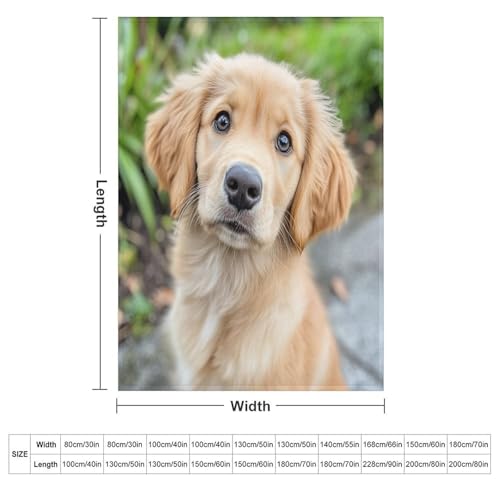 Soft Blankets and Throws for Sofa Golden Retriever Puppy Dog Ultra Soft Bedspread Microfiber Blanket Pet Memorial Gifts Blanket 55"x70" for Couch Sofa Bed Office for Girls Birthday Valentines Gift - view 2