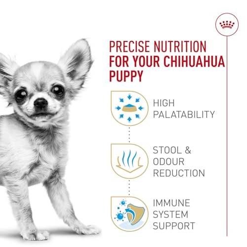 Chihuahua Puppy Dry Dog Food, 2.5 lb Bag - view 5