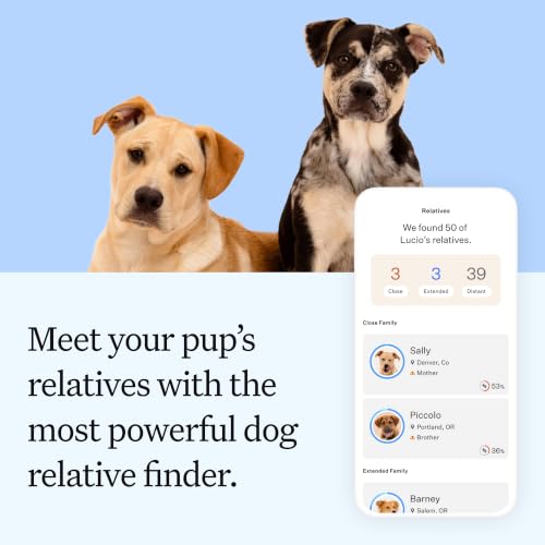 Panel Essential Dog DNA Test, 430+ Breeds, 30 Health Tests, 2 Pack - view 5