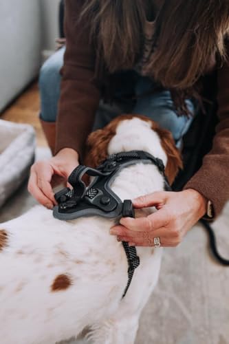 Quick Clip Dog Harness & Flat Leash Set, Blue Small – Magnetic Buckle, Reflective, Control - view 7