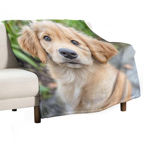 Soft Blankets and Throws for Sofa Golden Retriever Puppy Dog Ultra Soft Bedspread Microfiber Blanket Pet Memorial Gifts Blanket 55"x70" for Couch Sofa Bed Office for Girls Birthday Valentines Gift