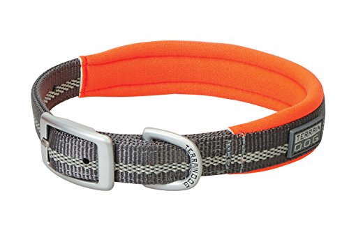 Terrain D.O.G. Reflective Neoprene Lined Dog Collar